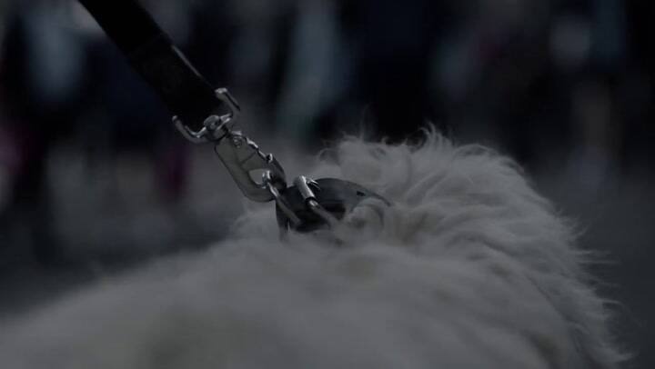 Trailer de Seven Types of Ambiguity - Fuente: ABC