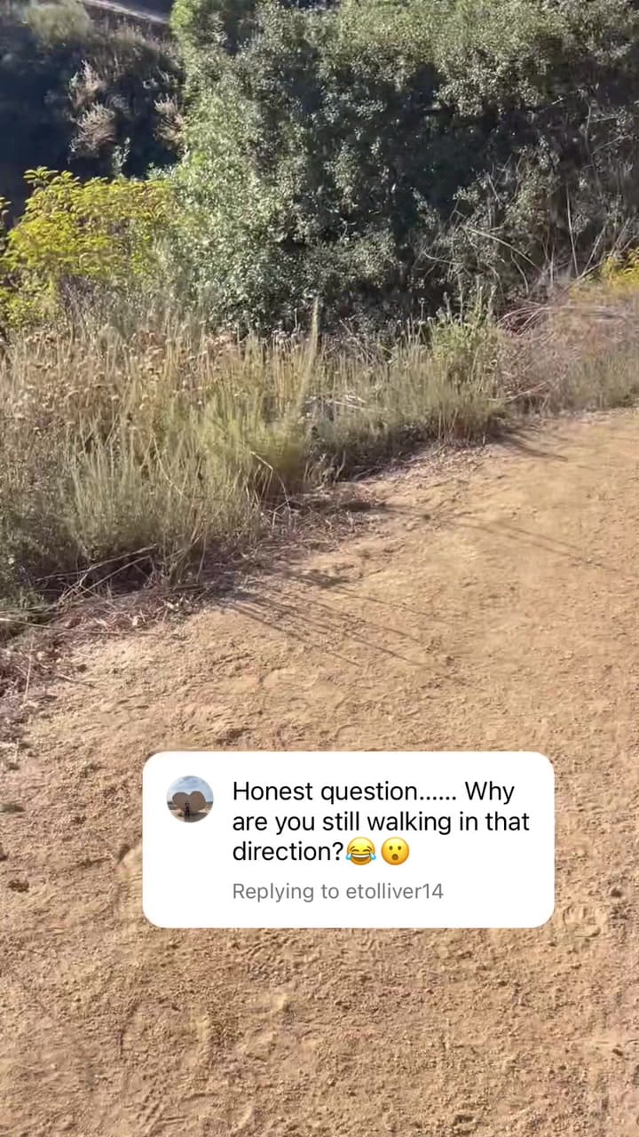 Una mujer corría por un sendero de California y fue perseguida por tres osos