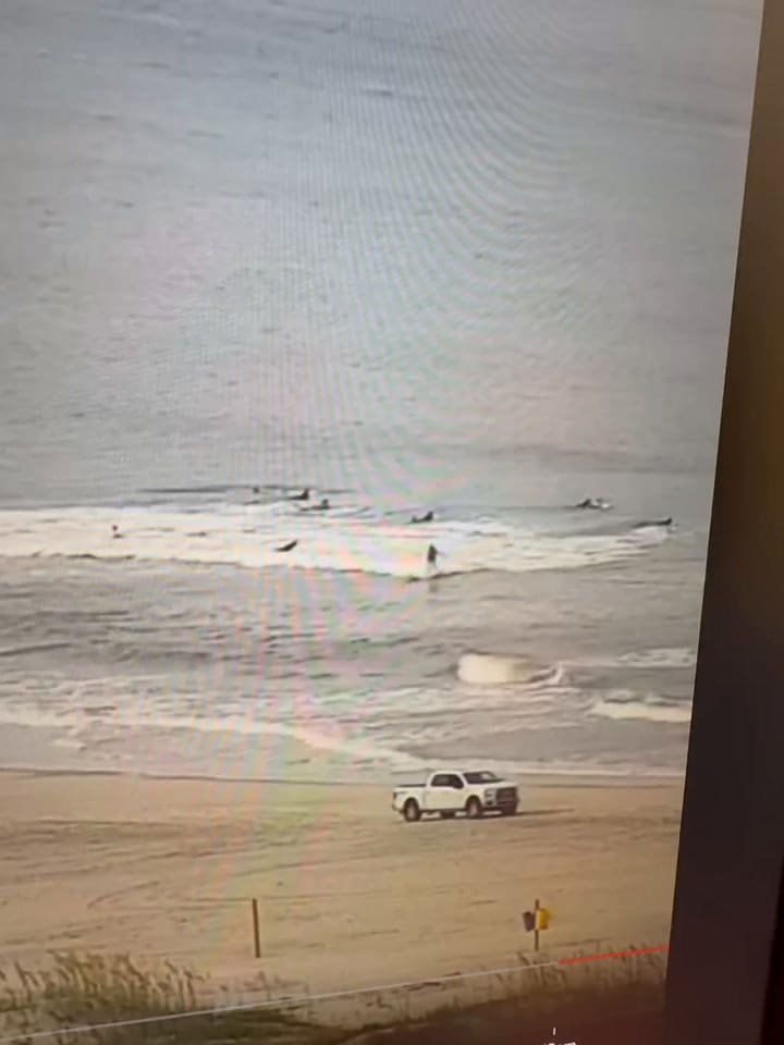 El momento en el que el tiburón saltó del agua y golpeó al surfista (@dj_kaye_)