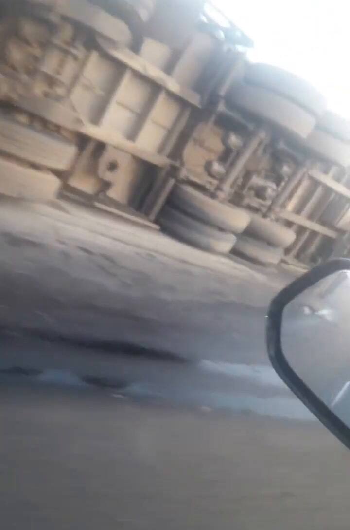 Un camión con 50 vacas volcó en Santa Fe y los vecinos las faenaron a todas