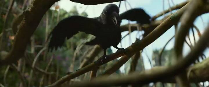 Trailer de Maléfica: dueña del mal - Fuente: YouTube