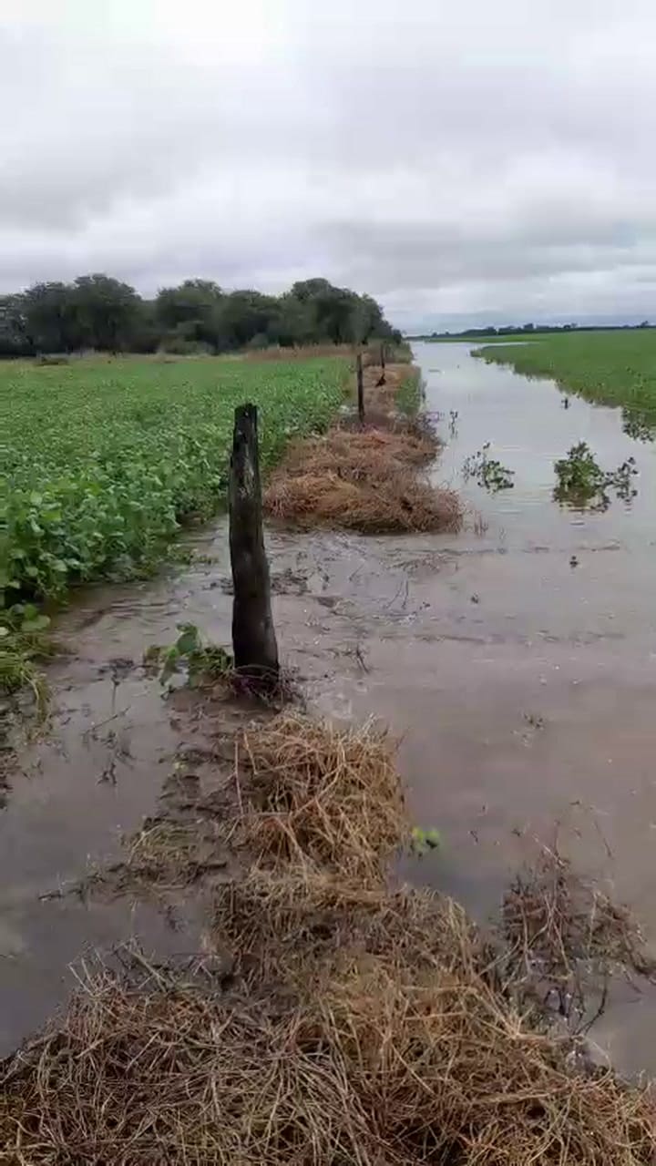 Lotes de soja completamente inundados y sin posibilidad de entrar a cosechar