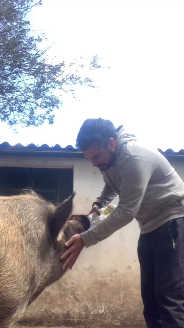 Lambucia creció fuerte y sana con Kiki Petrone
