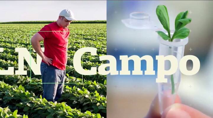 Todos los detalles de Expoagro 2017