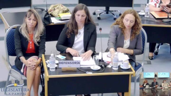 La palabra de la asesora de menores Elisa Catán