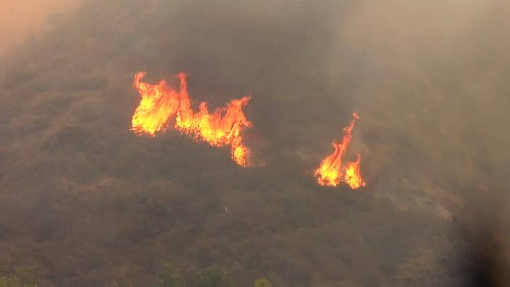 Unas 150 casas destruidas por voraz incendio que continúa activo en Chile - Fuente: AFP