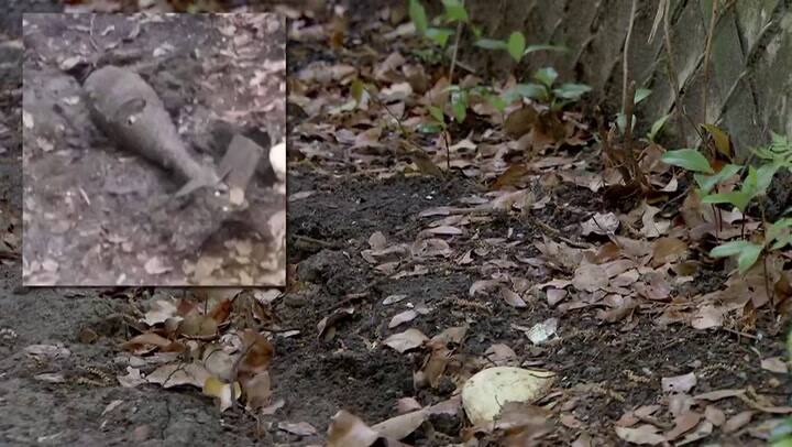 Un perro encontró una bomba sin detonar en el jardín de una casa