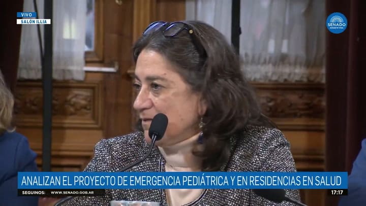 Una senadora dijo que “los chicos de la Argentina no tiene derecho a atenderse en el Garrahan”