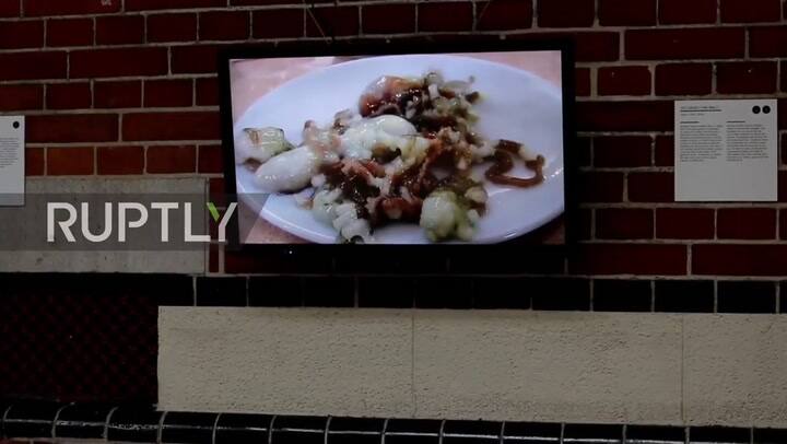 Un vistazo al museo de comidas asquerosas - Fuente: Ruptly