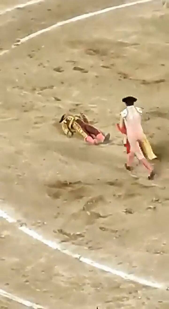 Un torero mexicano fue embestido y se encuentra en estado crítico