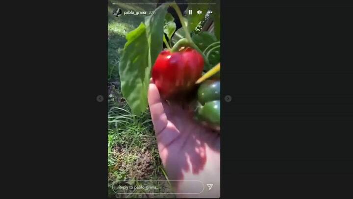 El nuevo hobby de Pablo Granados, la jardinería