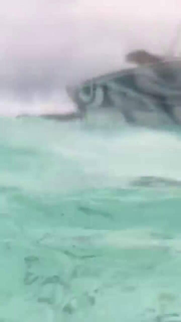 Ruggeri, de vacaciones: del buceo al desopilante ida y vuelta con un turista