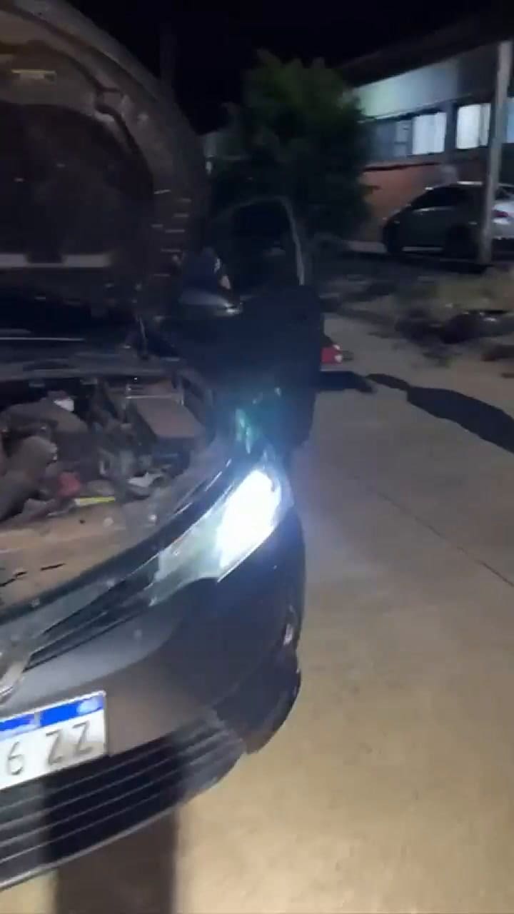 Un can de Aduana detecta dólares en un auto