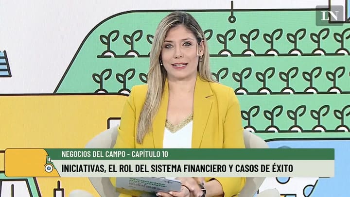 Capitulo 10: iniciativas, el rol del sistema financiero y casos de éxito