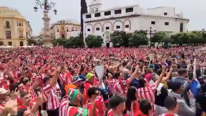 Una pareja se casó en Sevilla y vivió un momento insólito que se viralizó