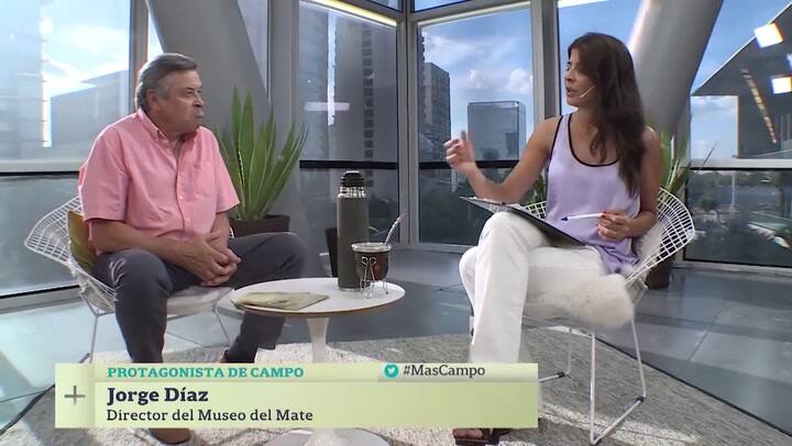 Cómo preparar un buen mate