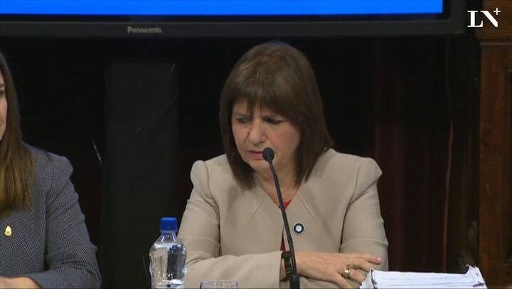 Santiago Maldonado: ante el Senado, Patricia Bullrich pidió 'no estigmatizar a la Gendarmería'