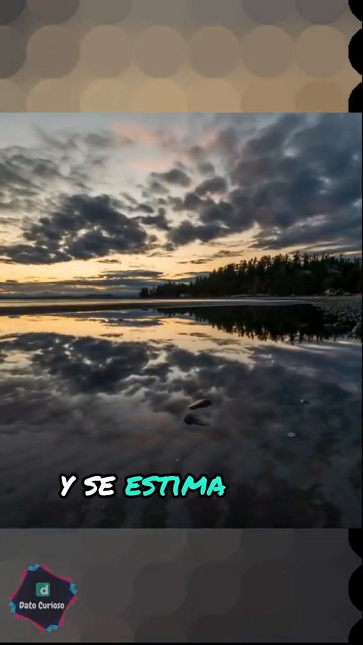 Ssstik.io @Datocurioso Oficial 1725715037430