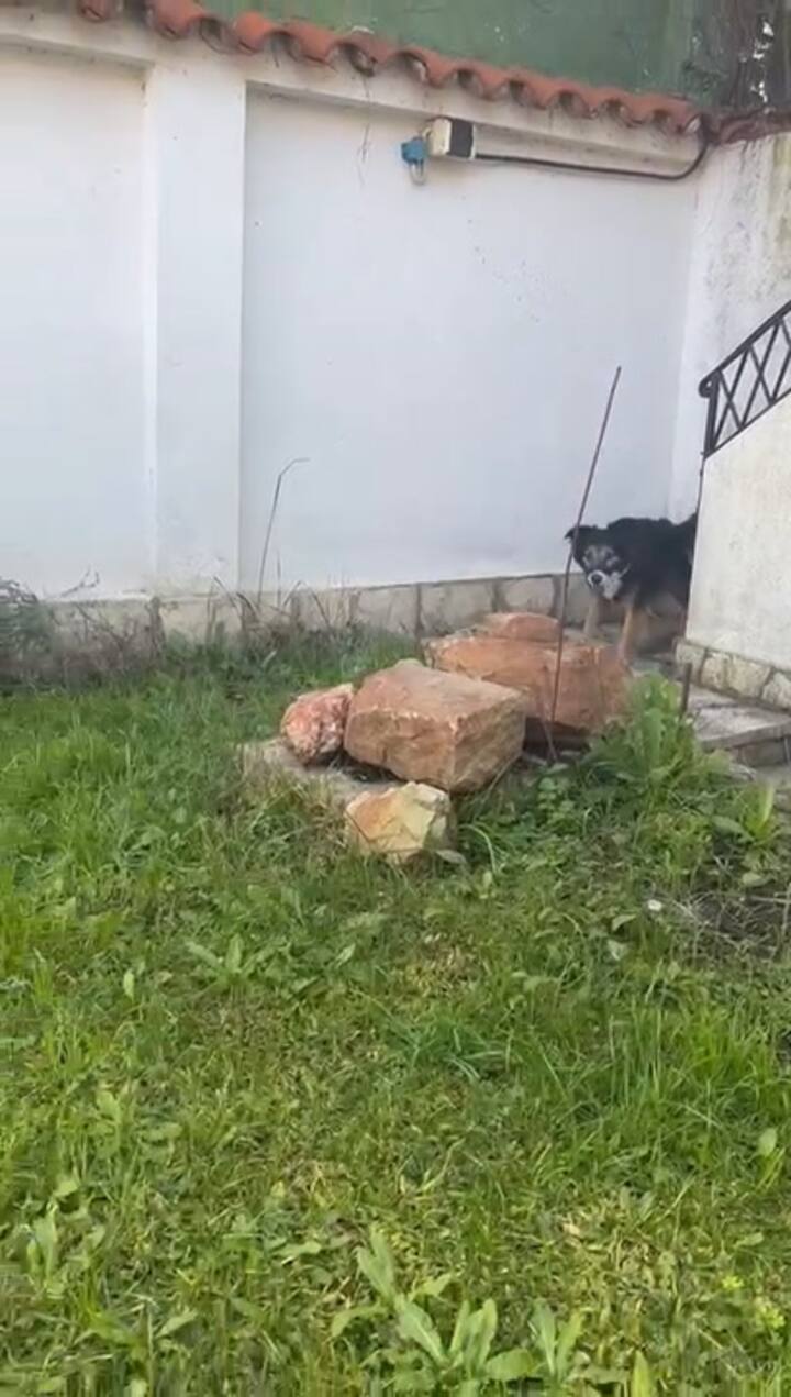 Whatsapp Video 2024-07-25 At 17.22.13