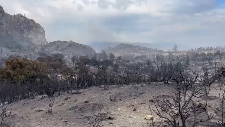 Así se veía el fuego avanzando en la zona, con llamas activas rodeando el campo. Crédito: Donato del Blanco