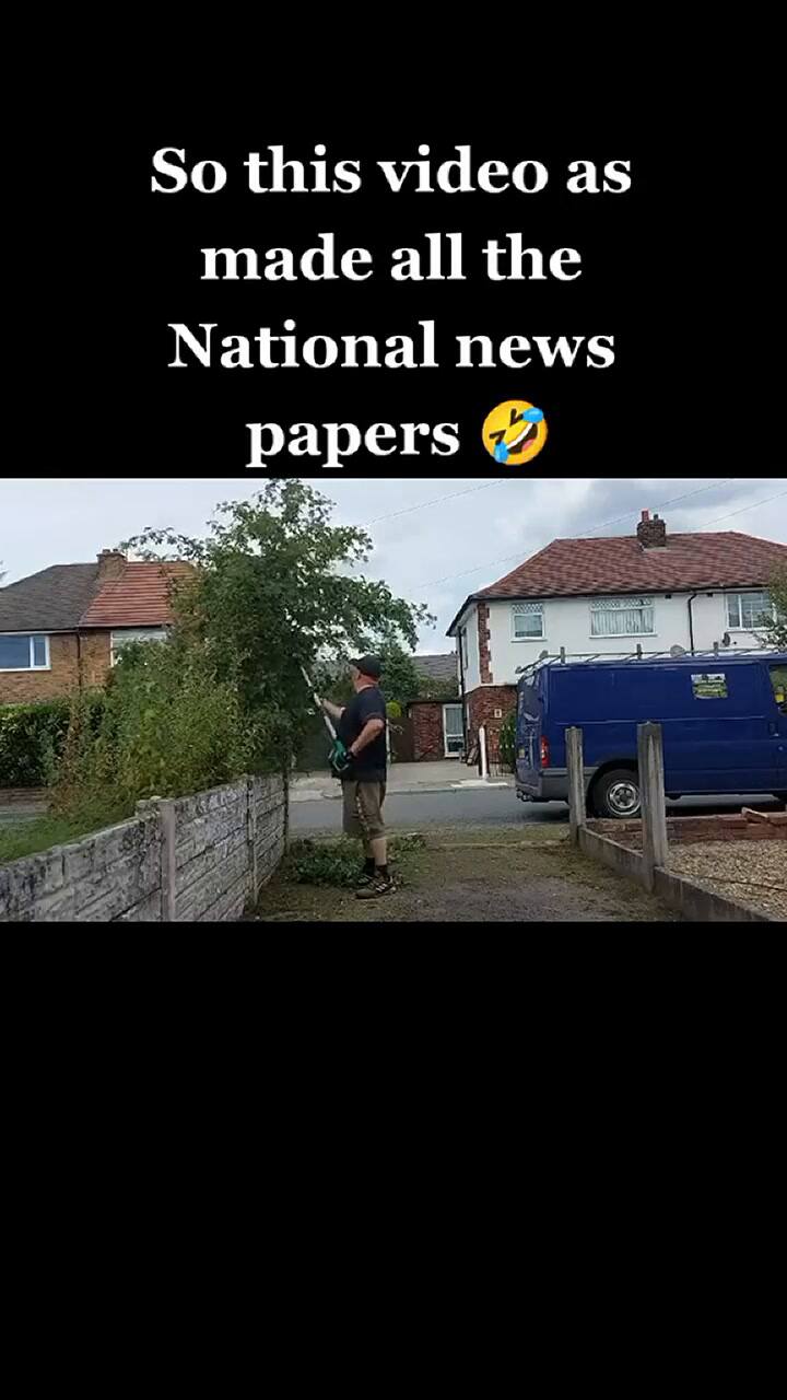 El árbol de su vecino tapaba su garage, lo podó y provocó el enojo de los ambientalistas