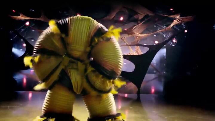 Adelanto del espectáculo original 'OVO” de Cirque du Soleil - Fuente: Cirque du Soleil