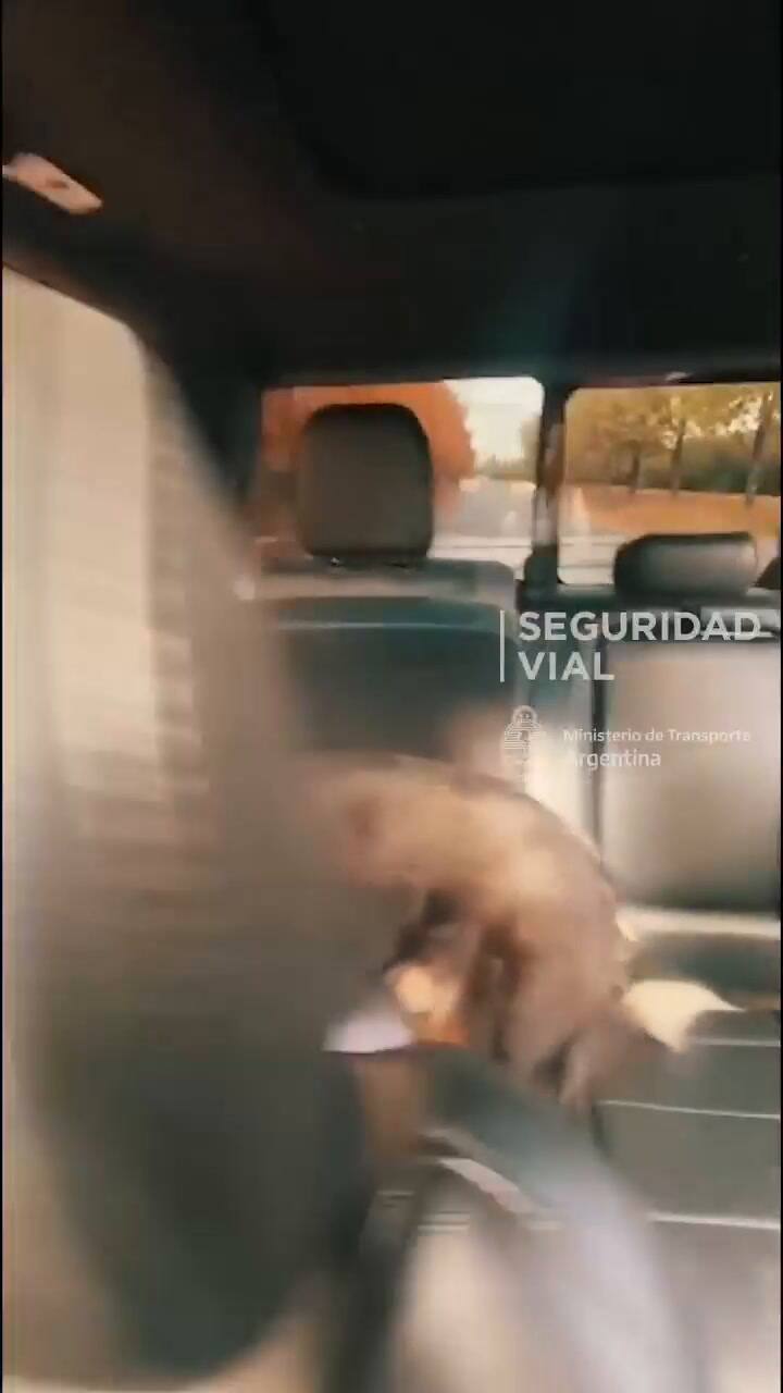 Luciano Castro compartió un video con sus hijos y le llovieron las críticas