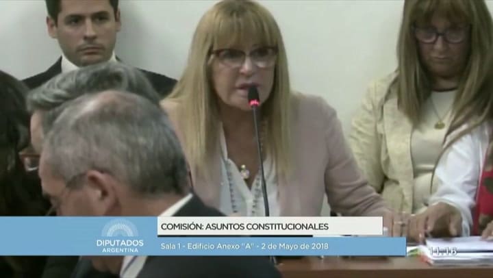La diputada Ayala pidió que se rechace el pedido de desafuero en su contra - Fuente: Télam
