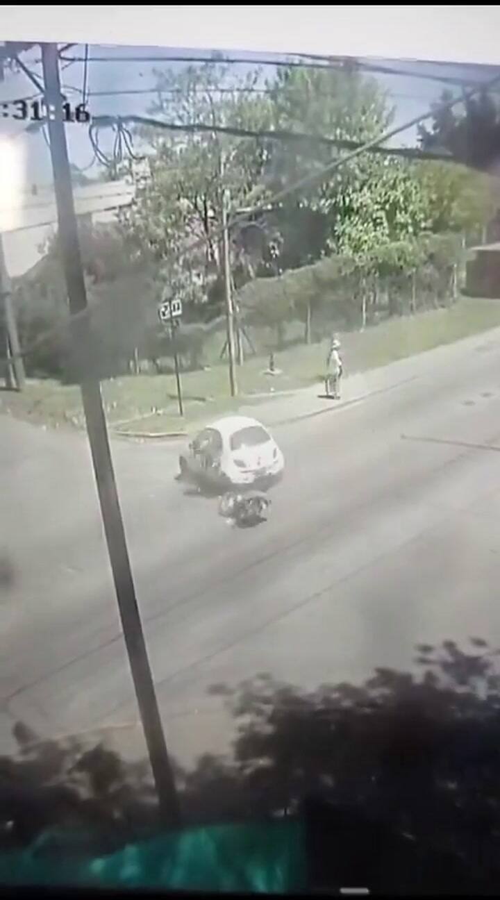 Ssstwitter.com 1729446529692