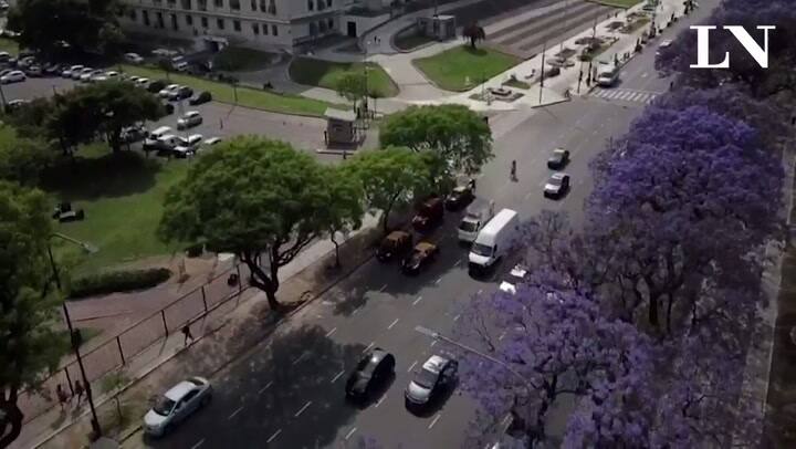 Vista de los jacarandás con el drone de LA NACION