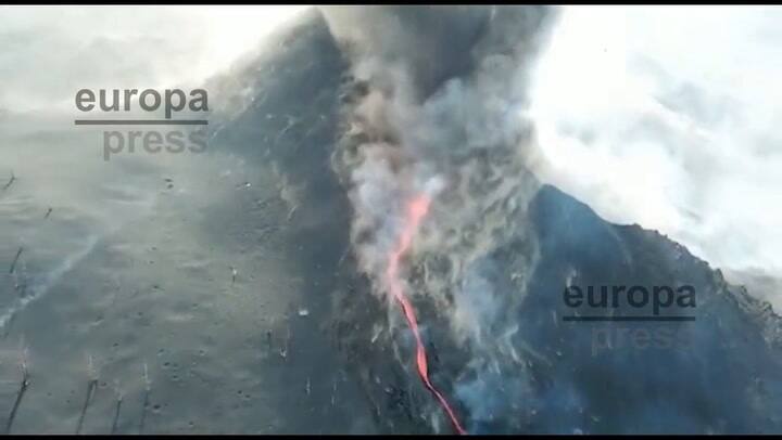 Los volcanes favorecieron el ascenso de los dinosaurios