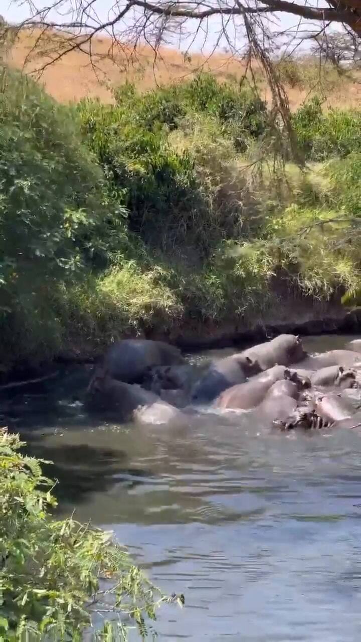 Historias que compartió Zaira Nara en su estadía en África