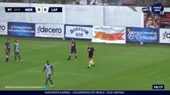 Un ataque de teros a un juez de línea demoró un partido de la Primera C - Gentileza: Merlo Viaja