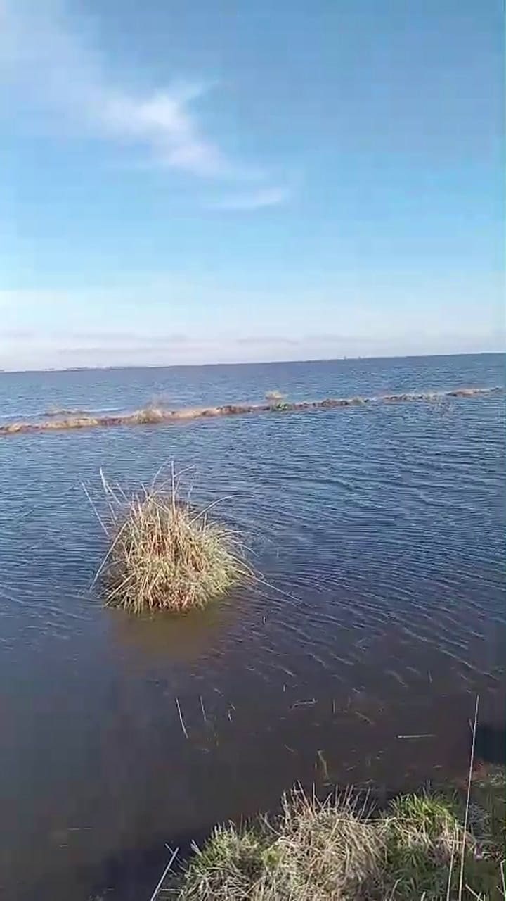 En el partido de 9 de Julio el productor Federico Ortiz asegura que el 70% del distrito está bajo el agua