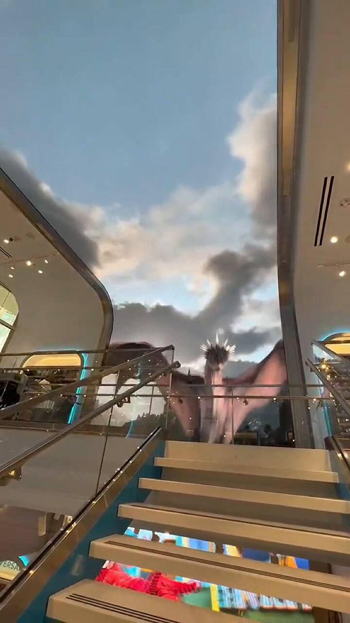 La fanática de Harry Potter mostró toda la tienda de Universal en el Aeropuerto de Orlando