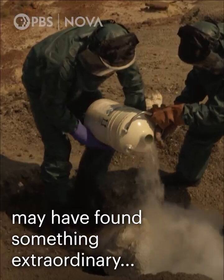 Un hallazgo en Dakota del Norte aporta pistas sobre la extinción de los dinosaurios