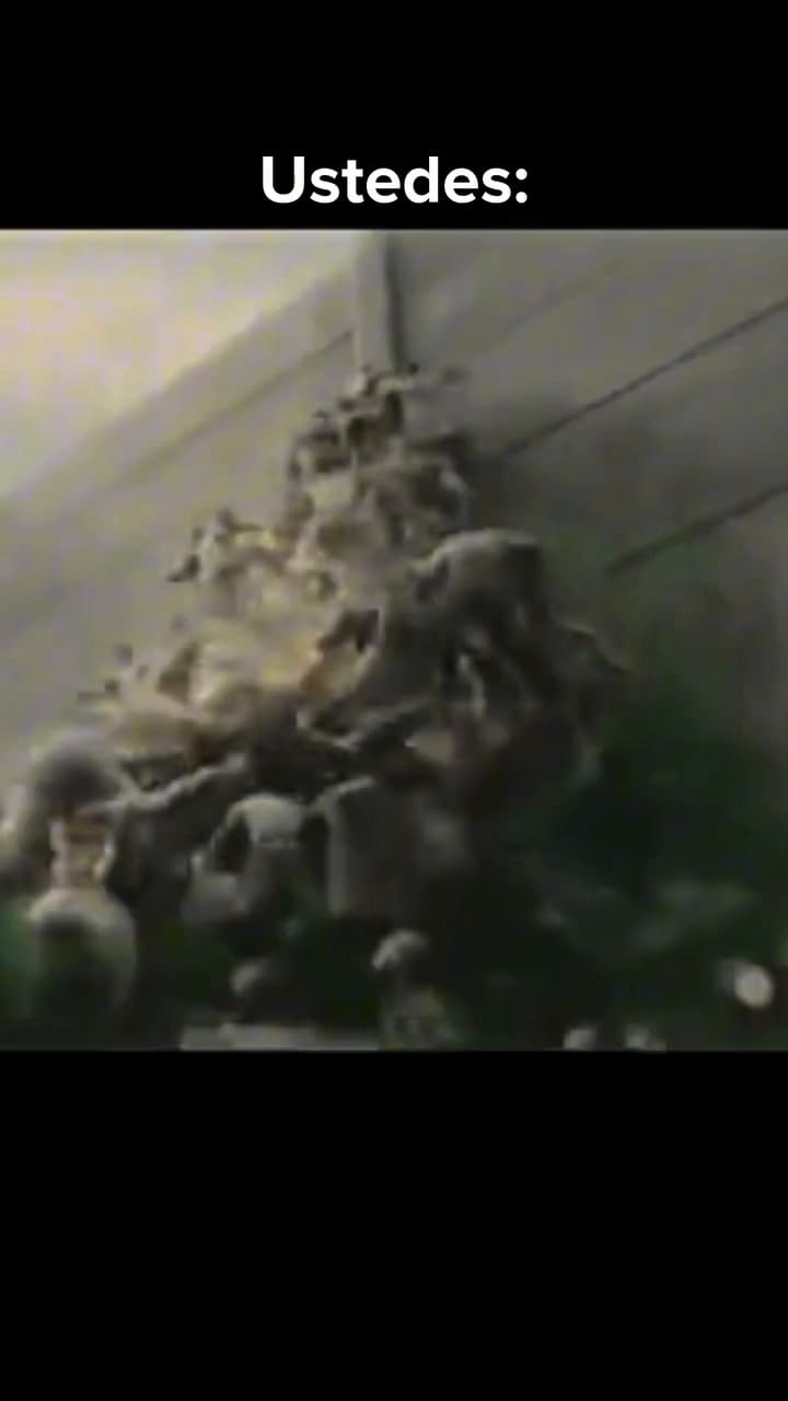 Bregan por la búsqueda del "vino perfecto" en sus videos