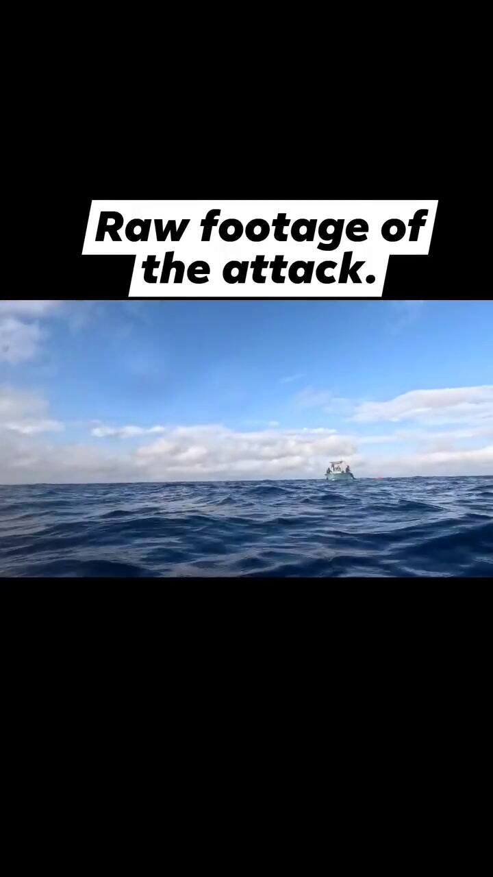 Un hombre se encontró cara a cara con un tiburón en una playa de Florida