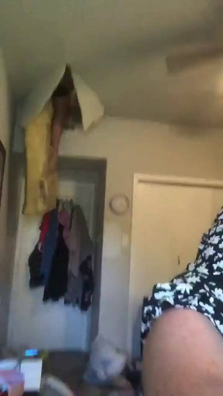 Practica una canción para una audición y su madre se cae del altillo