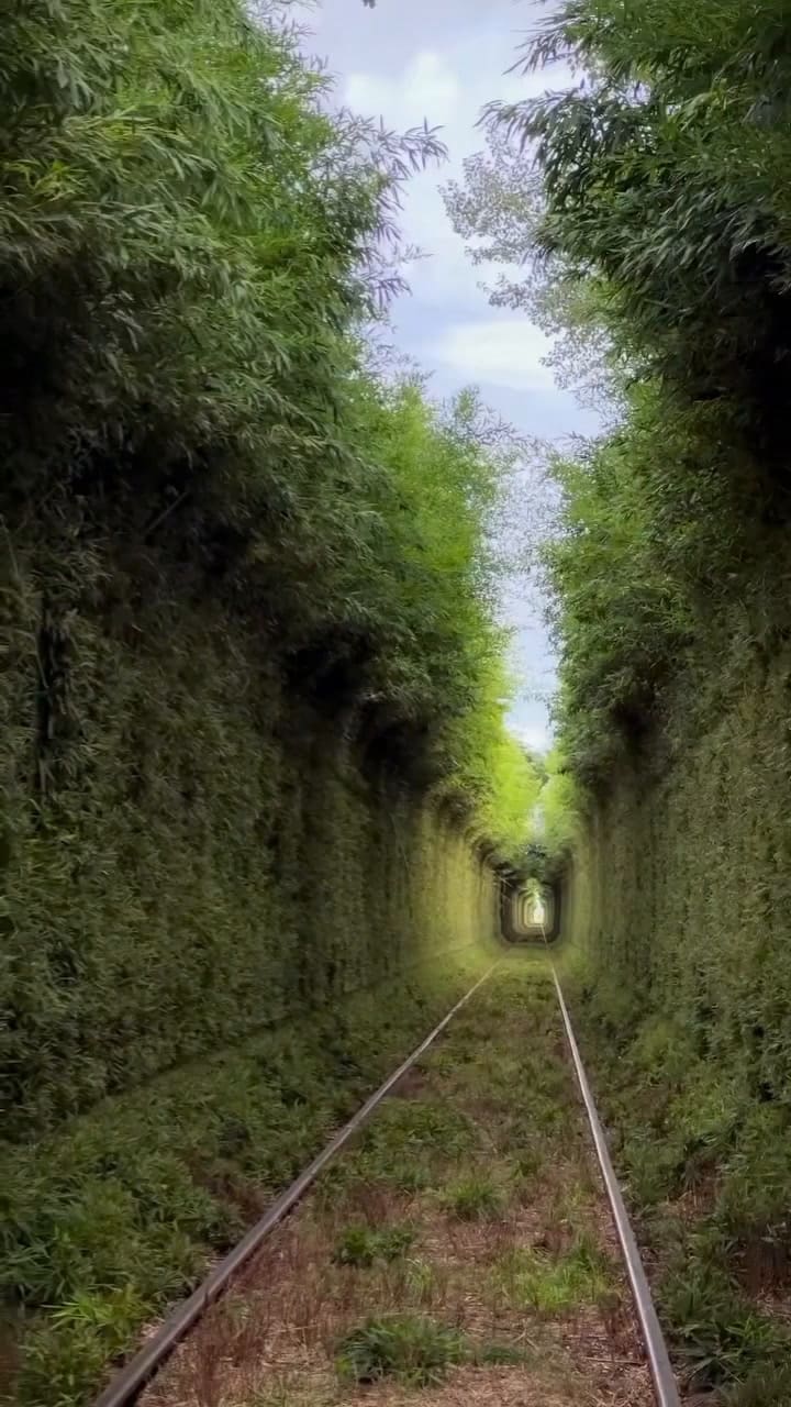Uno de sus rincones más pintorescos es el Túnel Vegetal (Instagram @uribelarreaoficial)