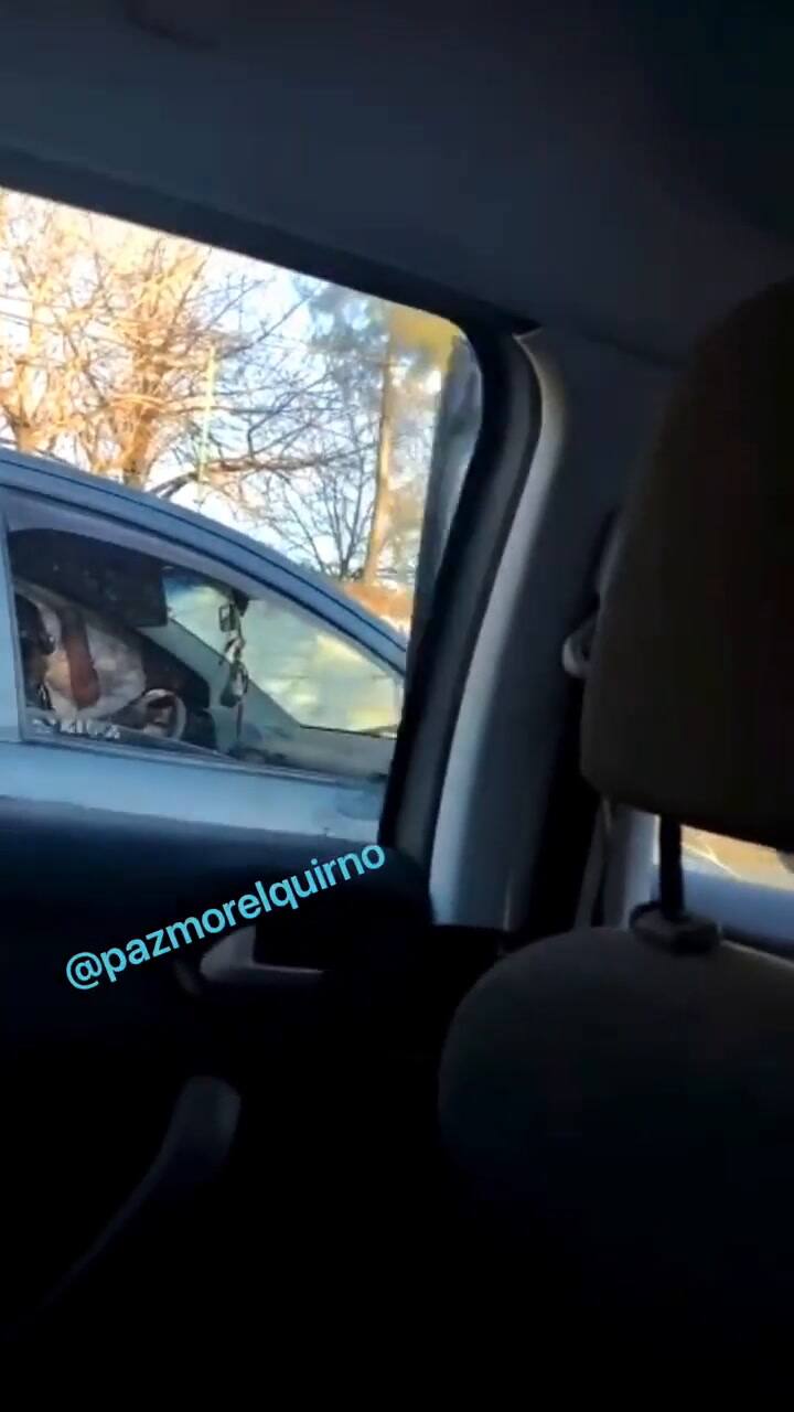 Locura en la calle: un automovilista amenazó a otro con un arma