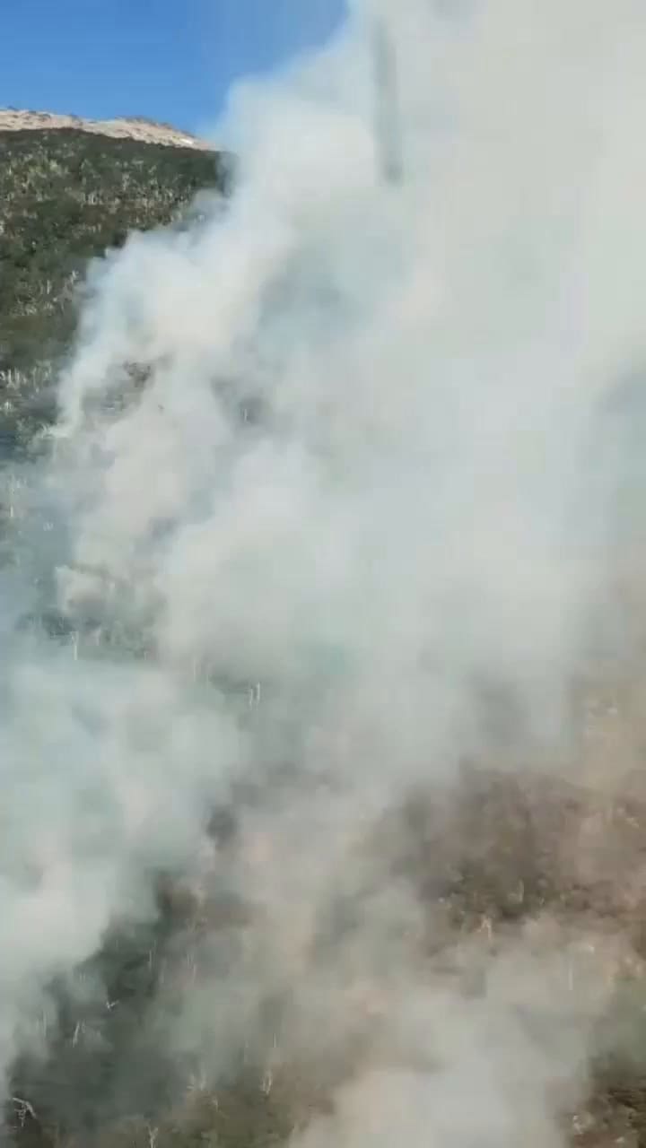 Sobrevuelo en la zona afectada por un incendio en el Parque Nacional Nahuel Huapi