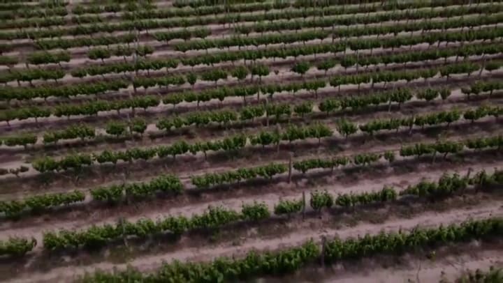 Sergio Massa anunció un dólar especial para economías regionales