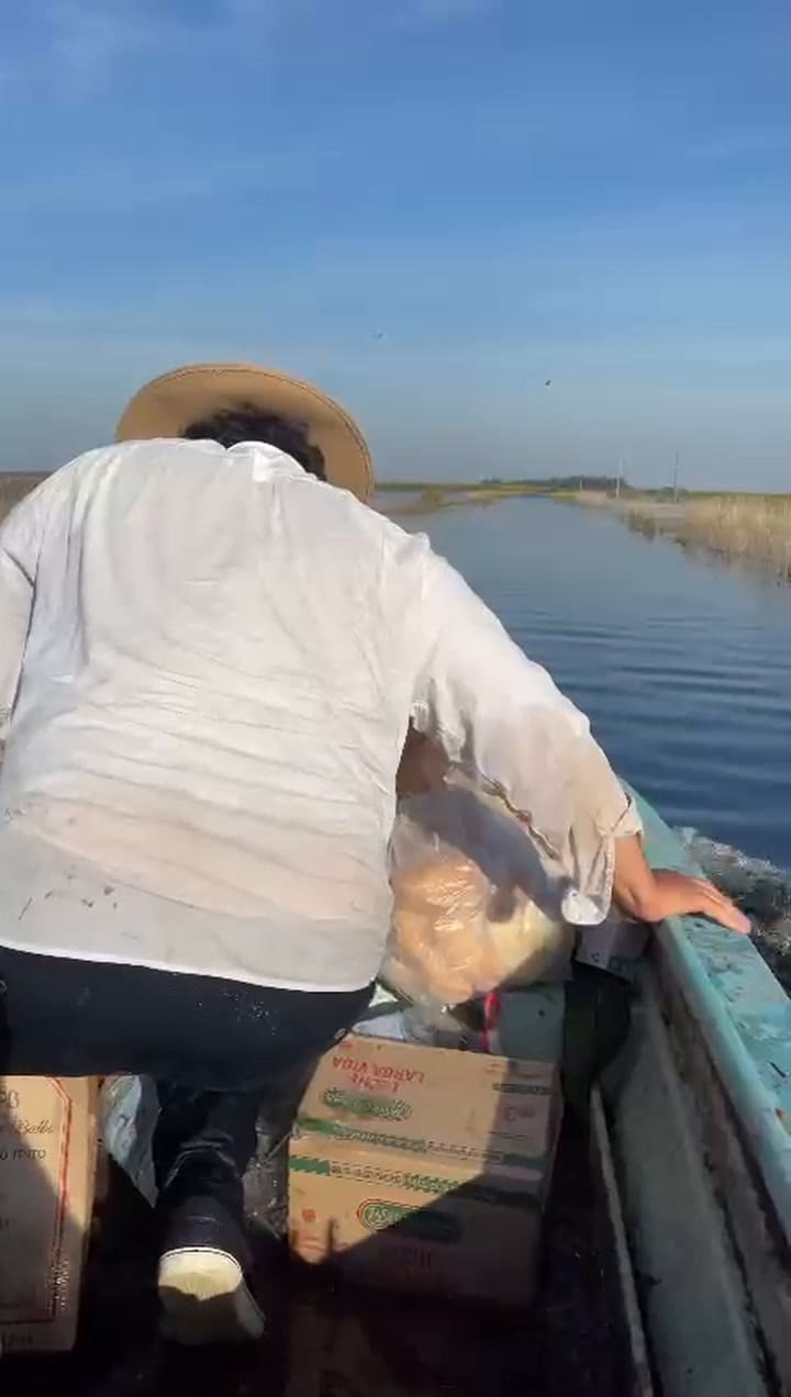 Bolívar bajo el agua: productores asisten en bote a trabajadores rurales atrapados por la inundación