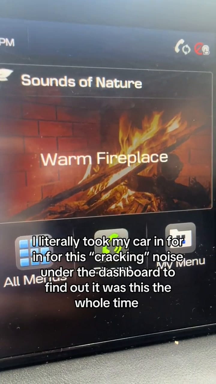 Una conductora de Nueva York escuchó reiteradamente un ruido extraño en su vehículo y mostró de qué se trataba