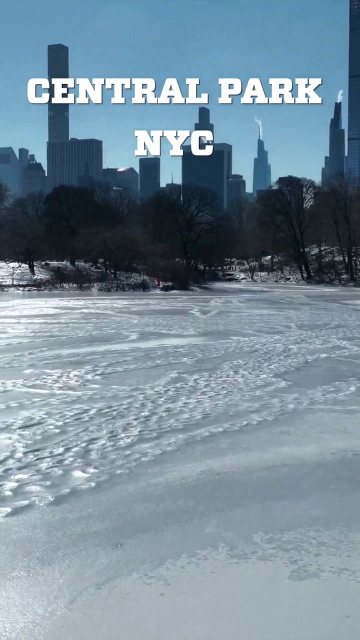 El NYPD detalla los métodos de rescate sobre superficies congeladas en la ola de frío