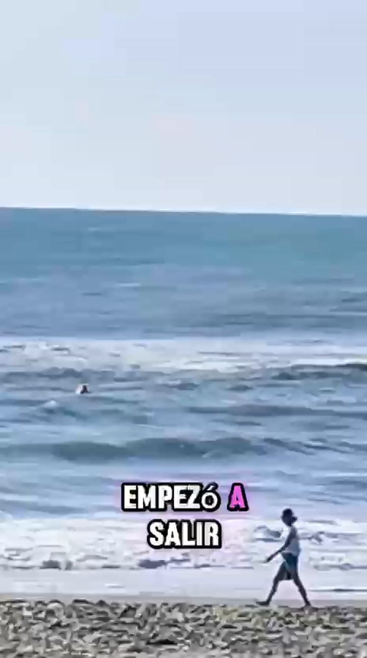 Villa Gesell: denunciaron a un guardavidas que se burló y grabó a un kayakista al borde del naufragio