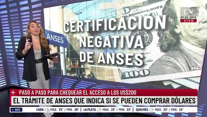El trámite de Anses que indica si se pueden cambiar dólares