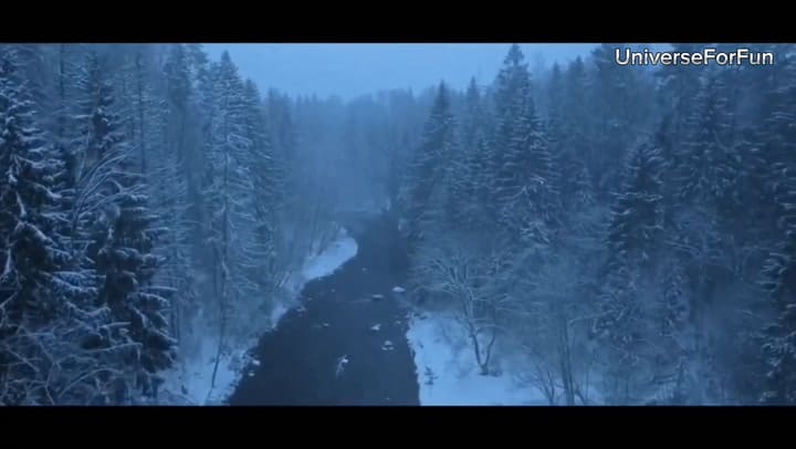 Cold Meat (2024) Trailer Oficial Español