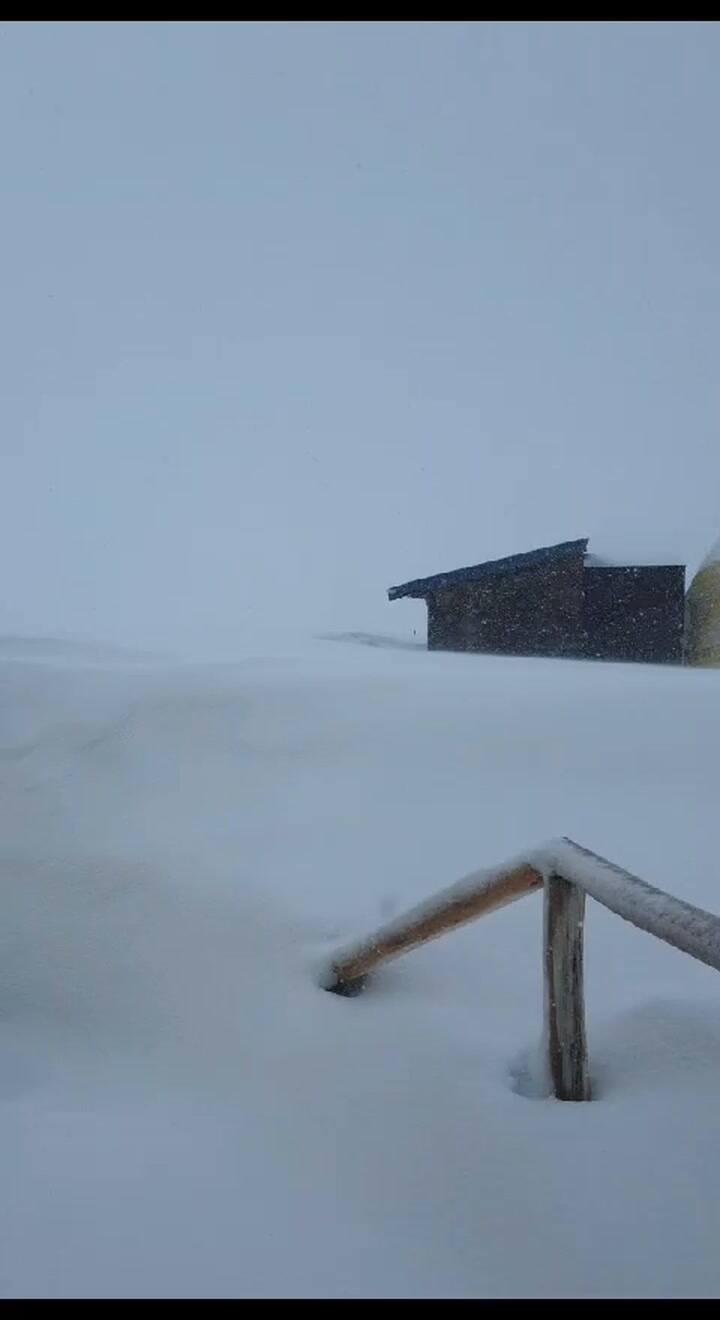 Whatsapp Video 2023-11-11 At 09.53.53